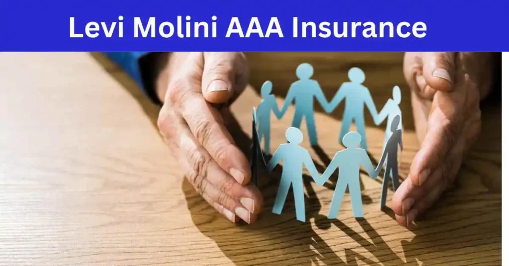 Levi Molini AAA Insurance